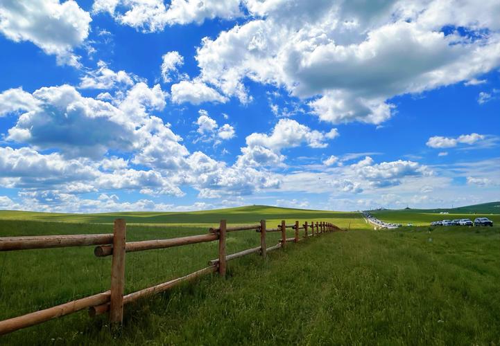 这是怎么拍出来的好清楚,