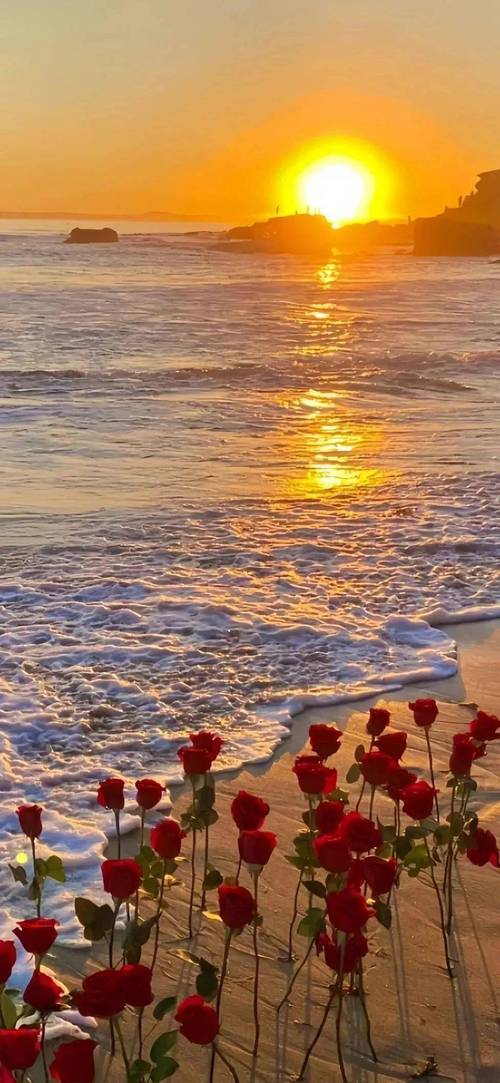 微信背景图ins风高级质感(真的不是要拖更这么久)