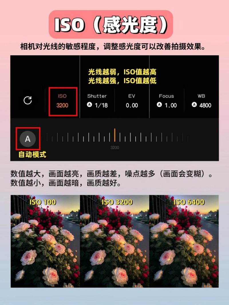 oppo原相机拍照怎么显示日期在照片上?