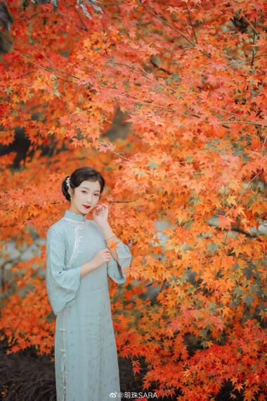 枫叶拍照姿势大全视频图1
