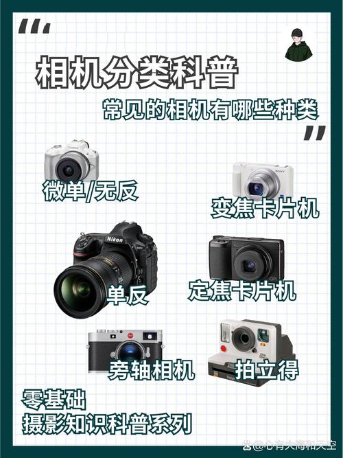 相机数据重置方法有哪些