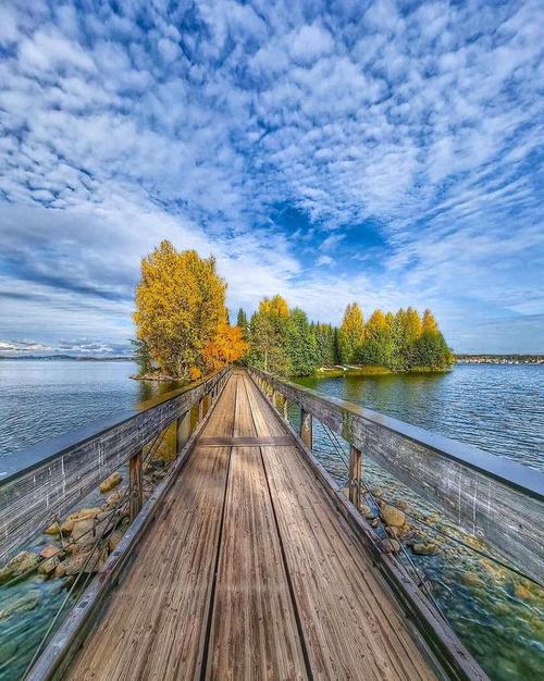 苹果手机拍照技术的技巧和方法是什么图3