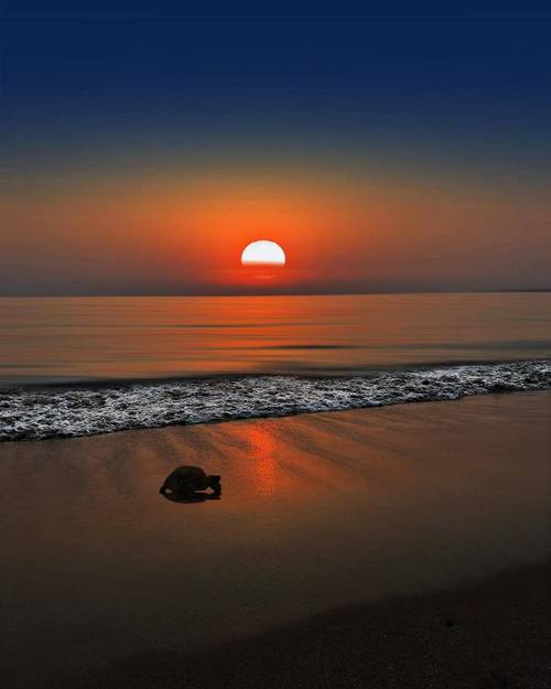 十大拍照最好的手机图1