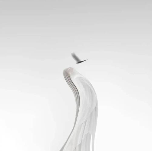 纯色拍照背景墙图2