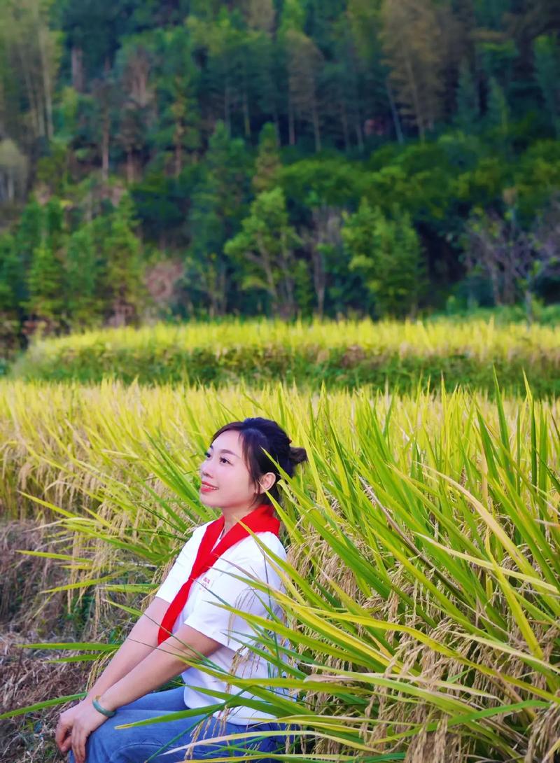 稻田里怎么拍照