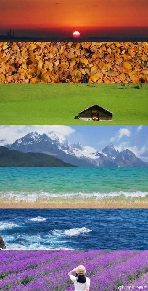 纯色紫色背景图片大全图3