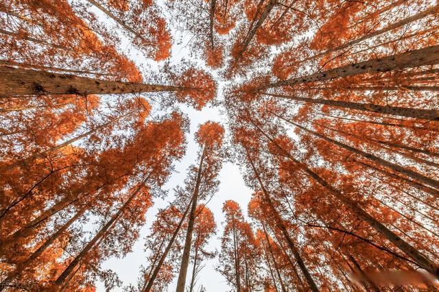 摄影角度的作用图1