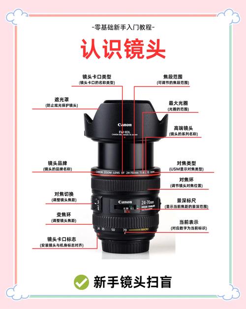 摄影角度的作用图2