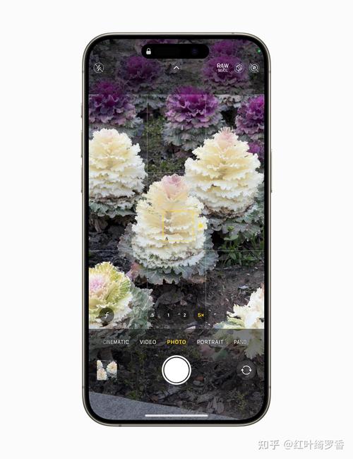 苹果怎么拍16:9照片图1