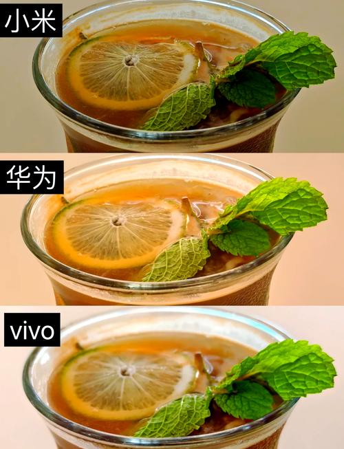 国内拍照最好的手机排名(揭秘拍照手机霸主)