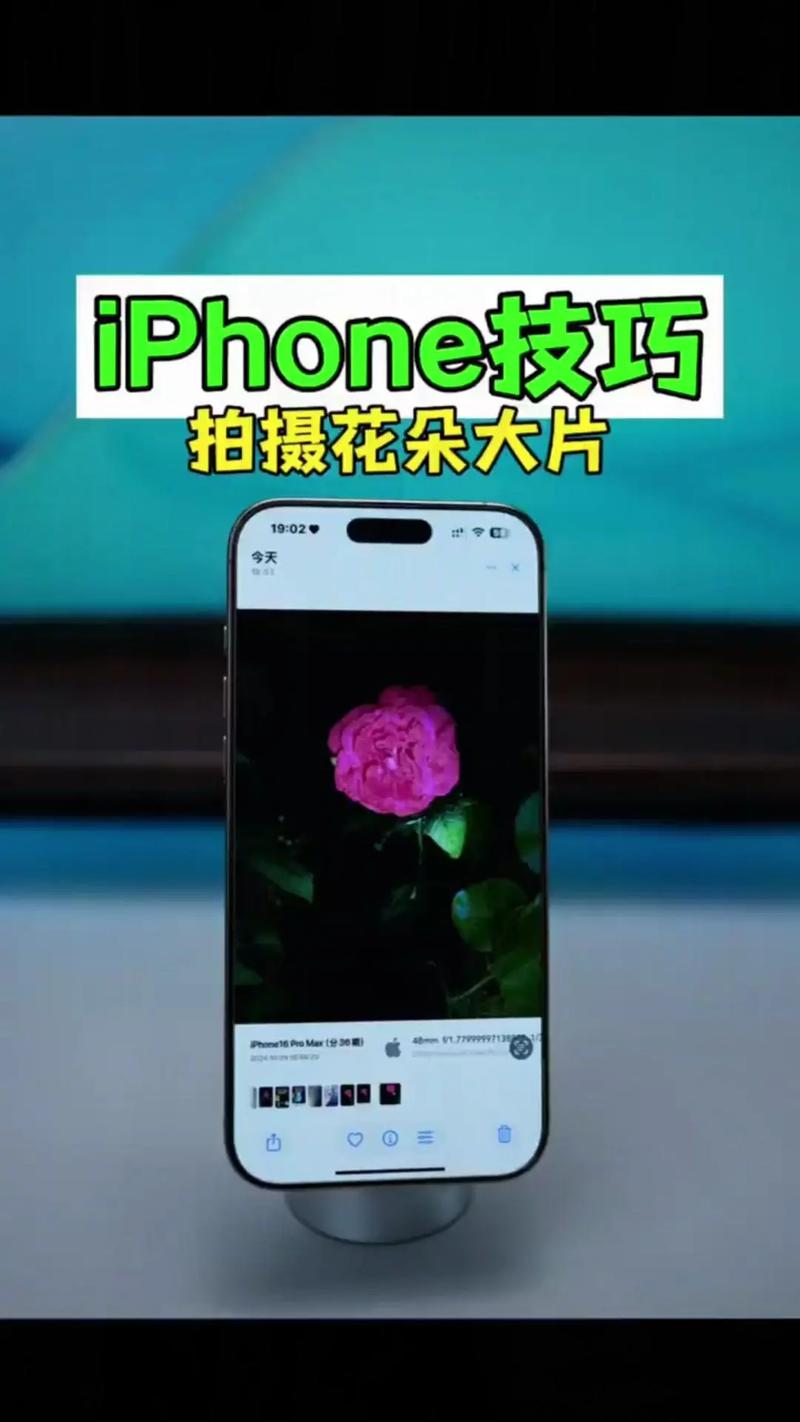 苹果手机拍照都收费吗