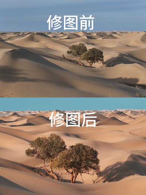 普通照片怎么添加水印相机图2