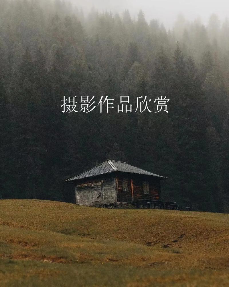 拍照软件instagram图2