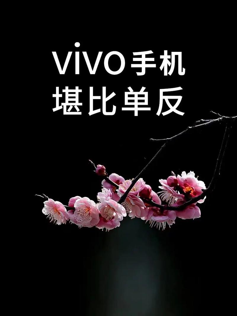 Vivo手机怎么能把很多张照片联合起来做成一个视频而且是循环的?