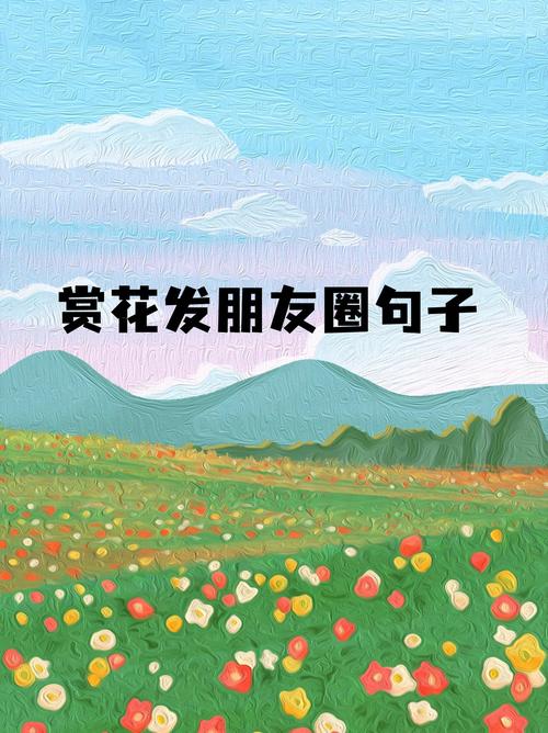 拍照角度搞笑句子图3