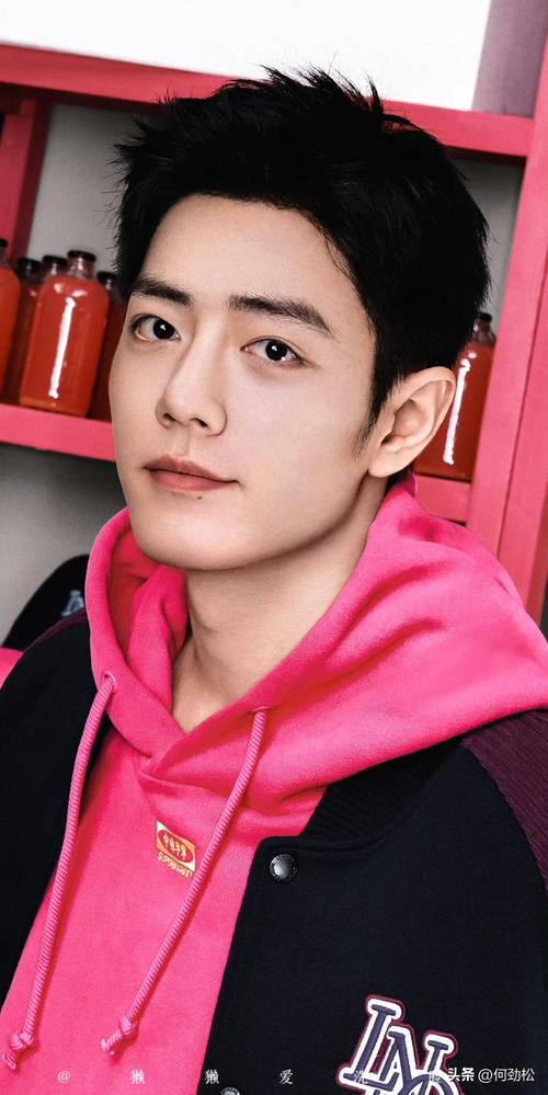 谁有那些比较帅的男明星的资料和图片??