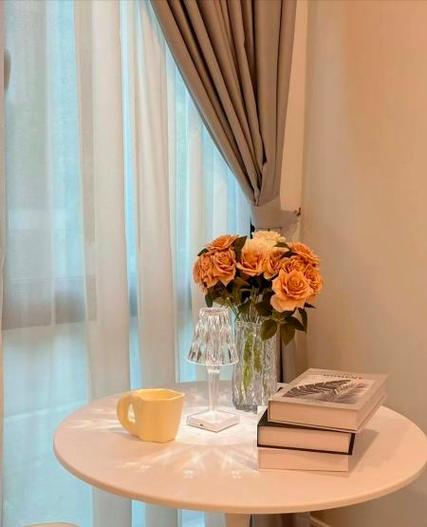 拍照背景图片室外图2