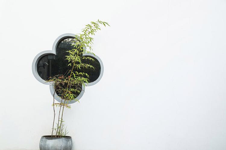 拍照背景图片室外图3