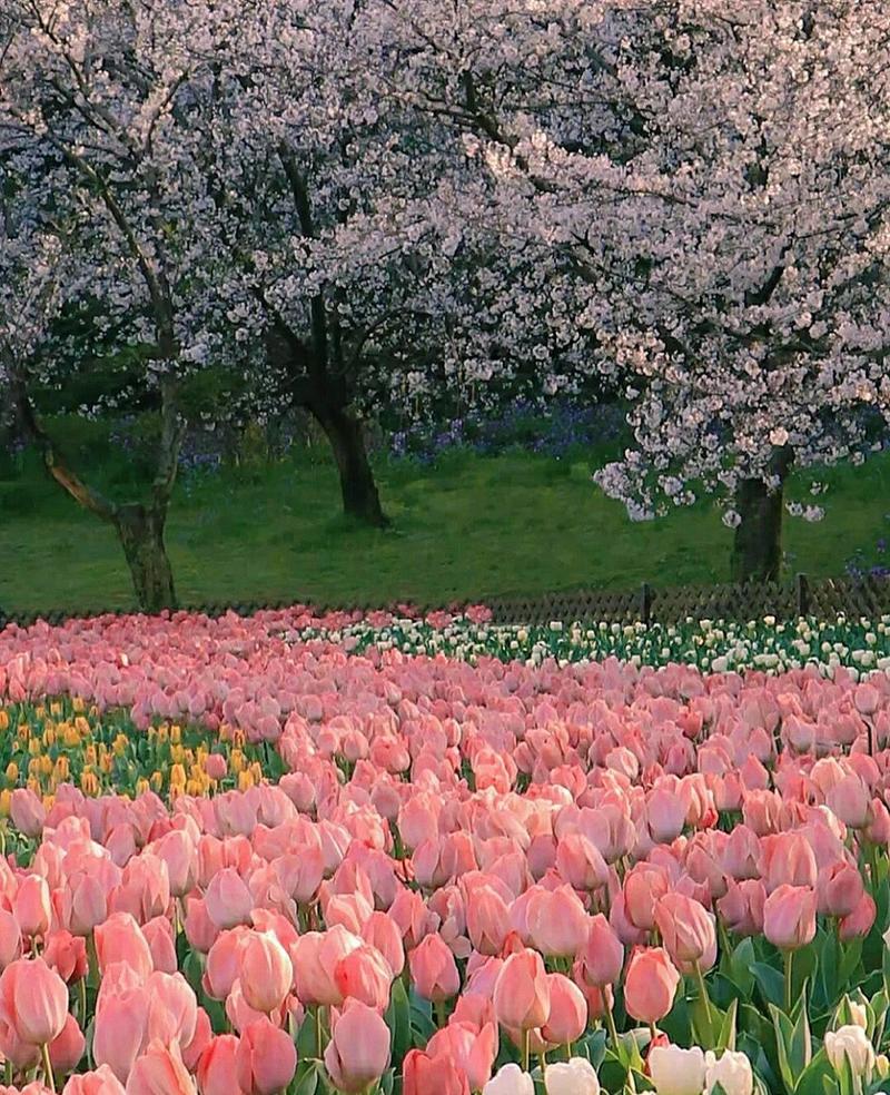 氛围感ins背景图图1