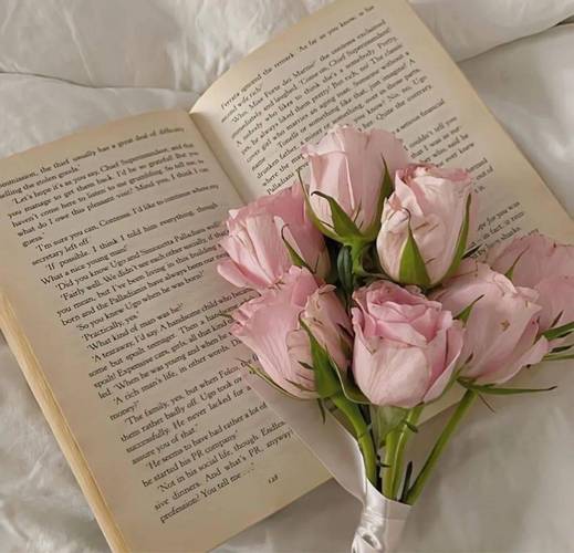 氛围感背景图ins(氛围感背景图高清)