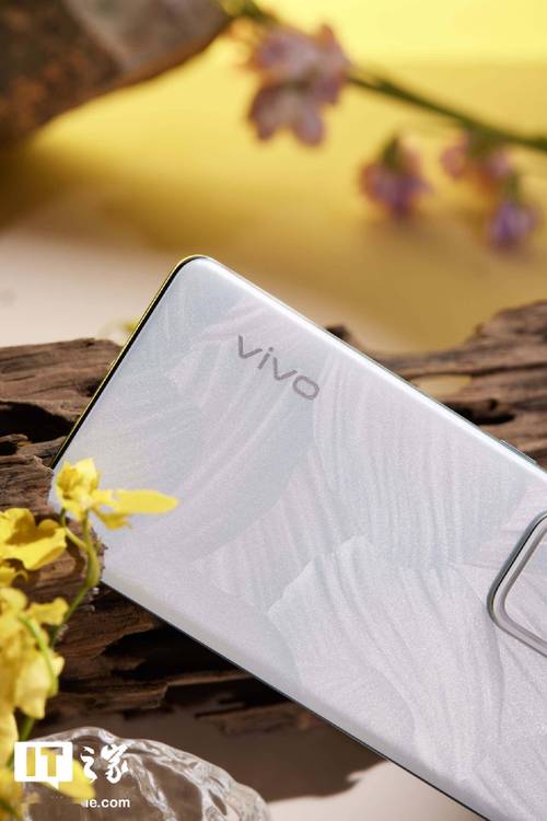 拍照手机vivo哪款最好图3