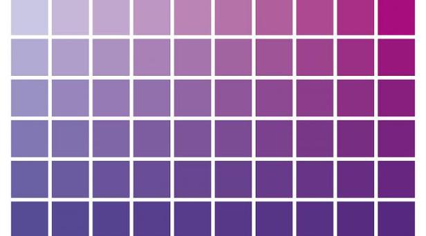 拍照紫色背景怎么调图1