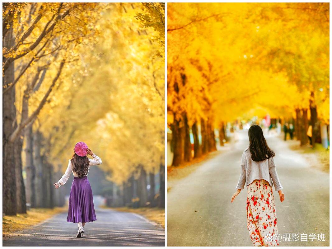 什么相机拍照好看又自然