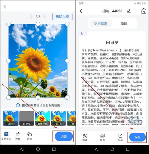 拍花好看的软件图3