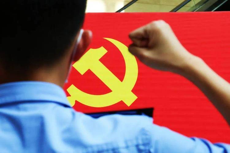 最规范的宣誓手势