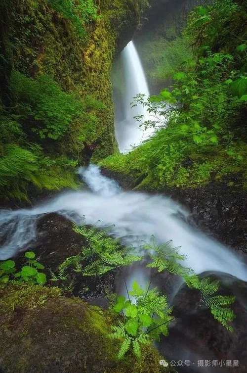 哪款手机拍照清晰度高又好看