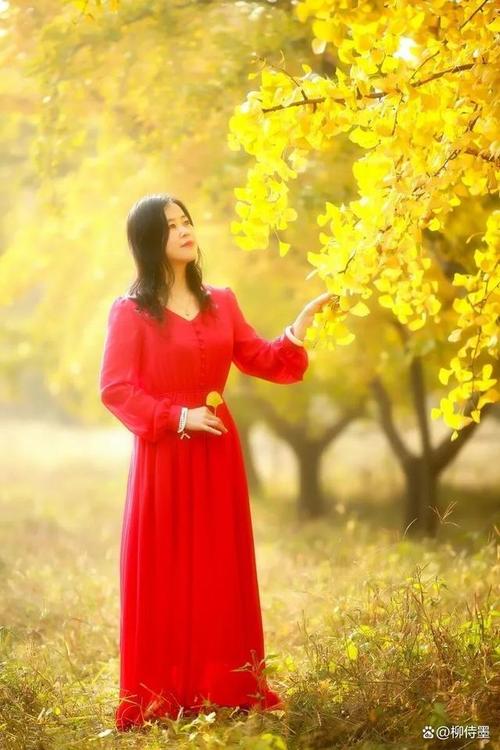 海边拍照技巧怎么摆姿势老年人团队图1