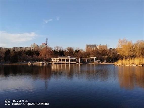 华为手机拍照效果最好的型号图2