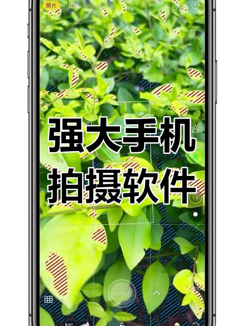 手机拍照软件哪个效果最好?