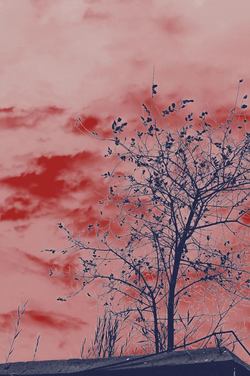 什么是双色调,如何综合应用双色调?