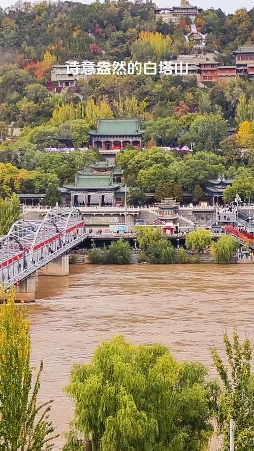 银杏叶拍照姿势大全图3