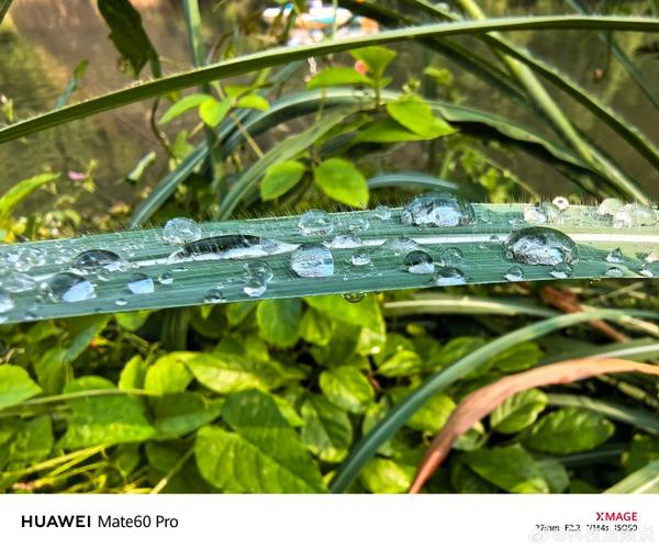 华为mate10怎样微距拍照