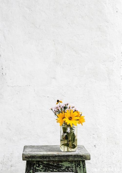 纯色背景照片是什么颜色图3