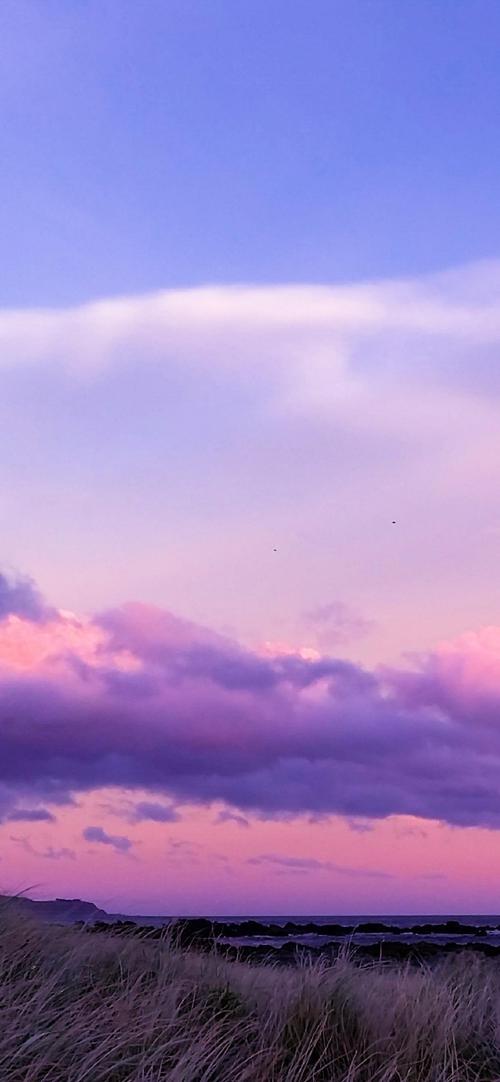 现在是不是紫色的图片