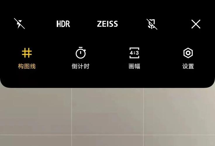 vivo怎么打开构图线?