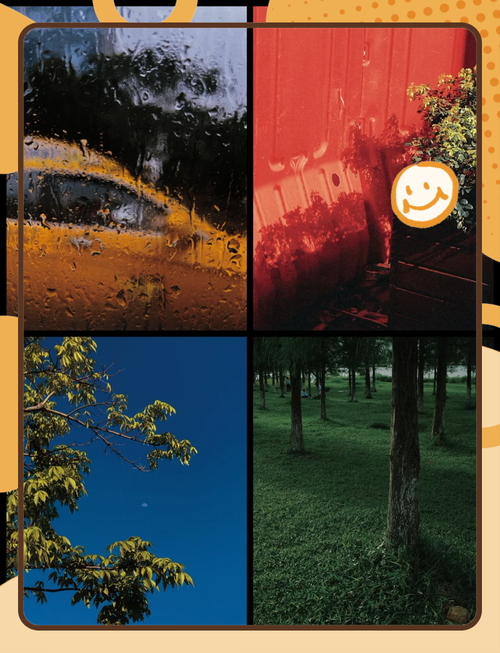 一学就会的手机拍照日常构图调色