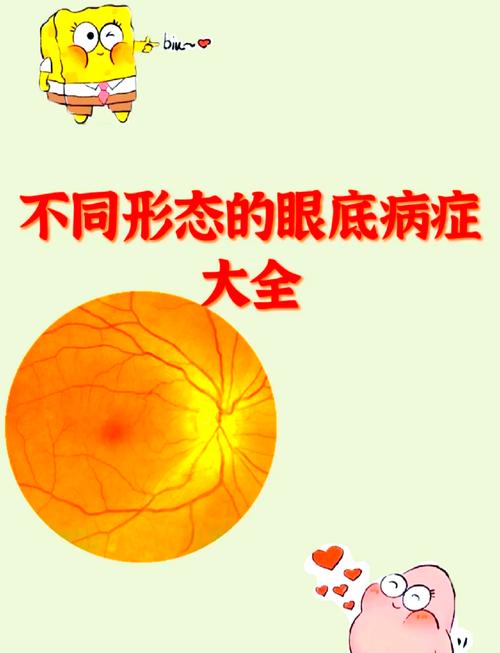 眼底照相的方法