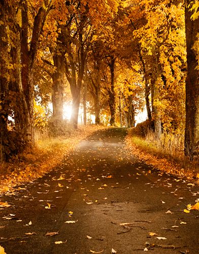 这种背景照片属于什么风格