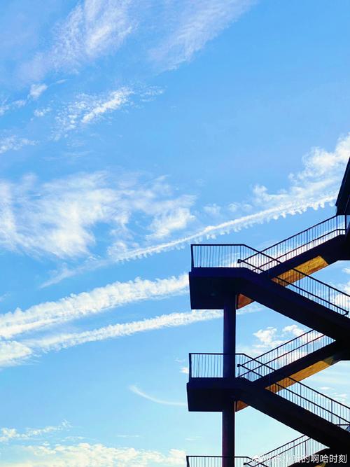 一千多元拍照手机哪个好图1