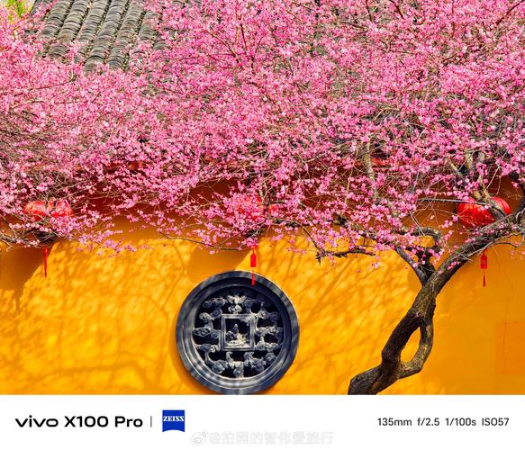 vivo拍摄手机哪款好