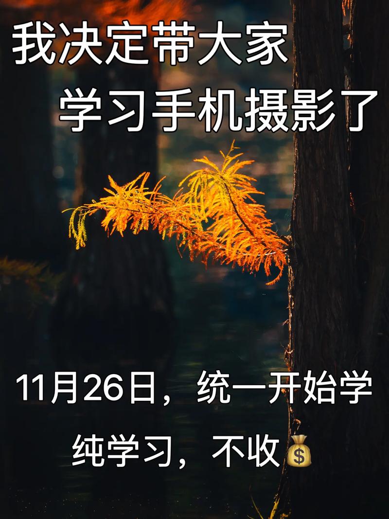 想学摄影怎么入行(想学好手机摄影要学什么)