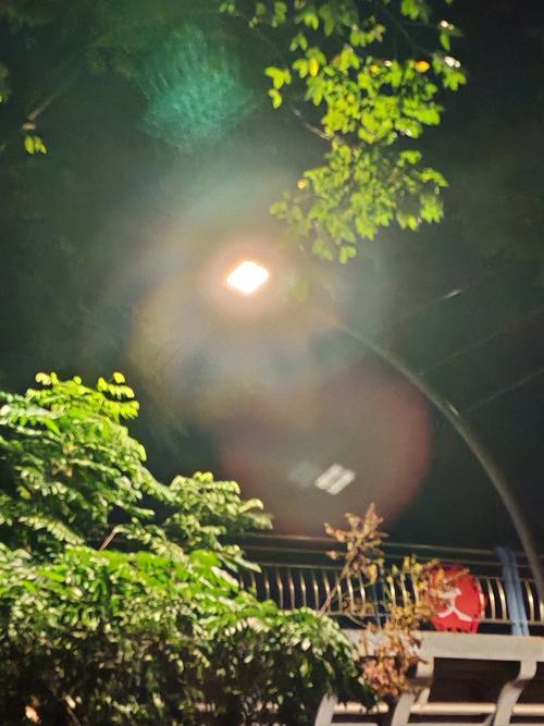 晚上没灯怎么手机拍照图1