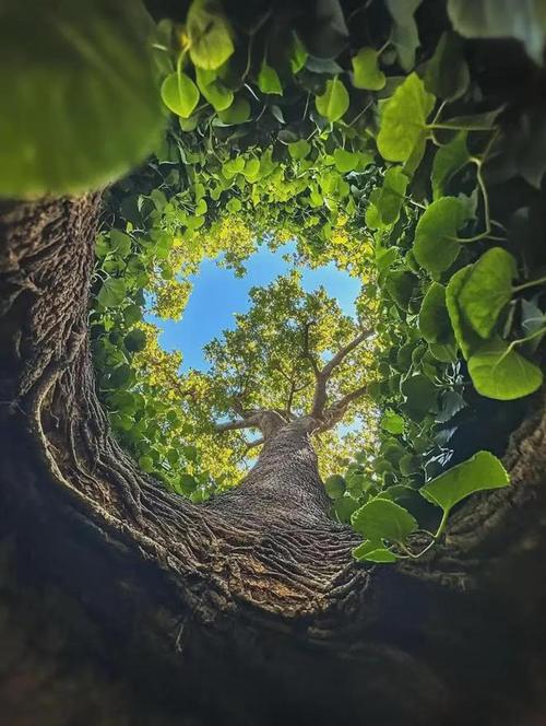 拍摄角度分为几种图1