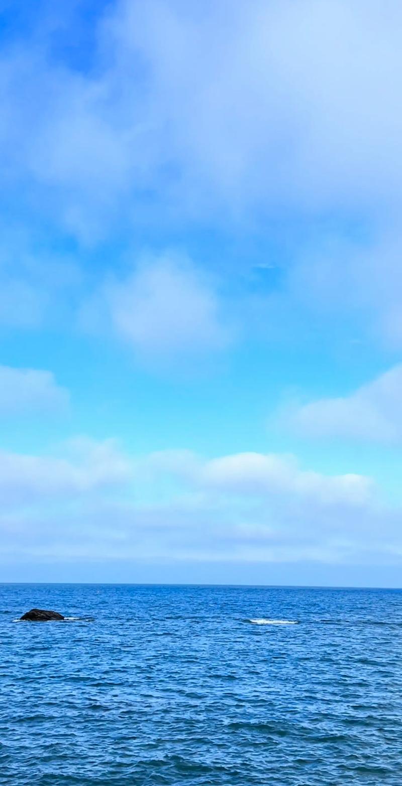 什么手机拍照最清晰效果好图1