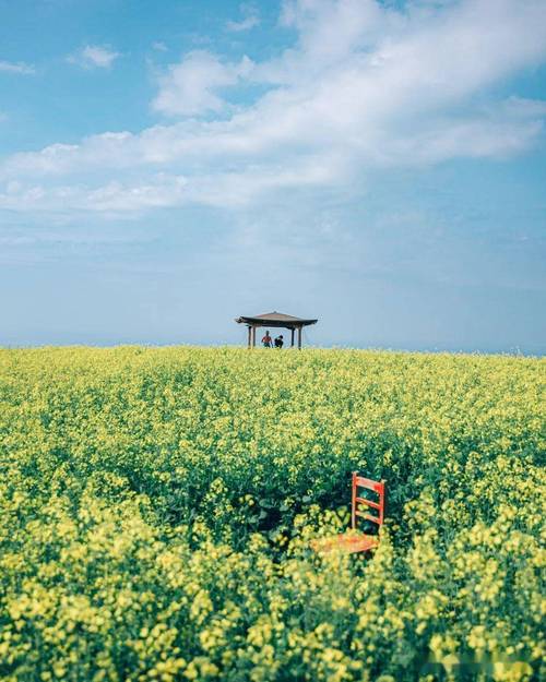 千元手机哪款拍照效果最好?图3