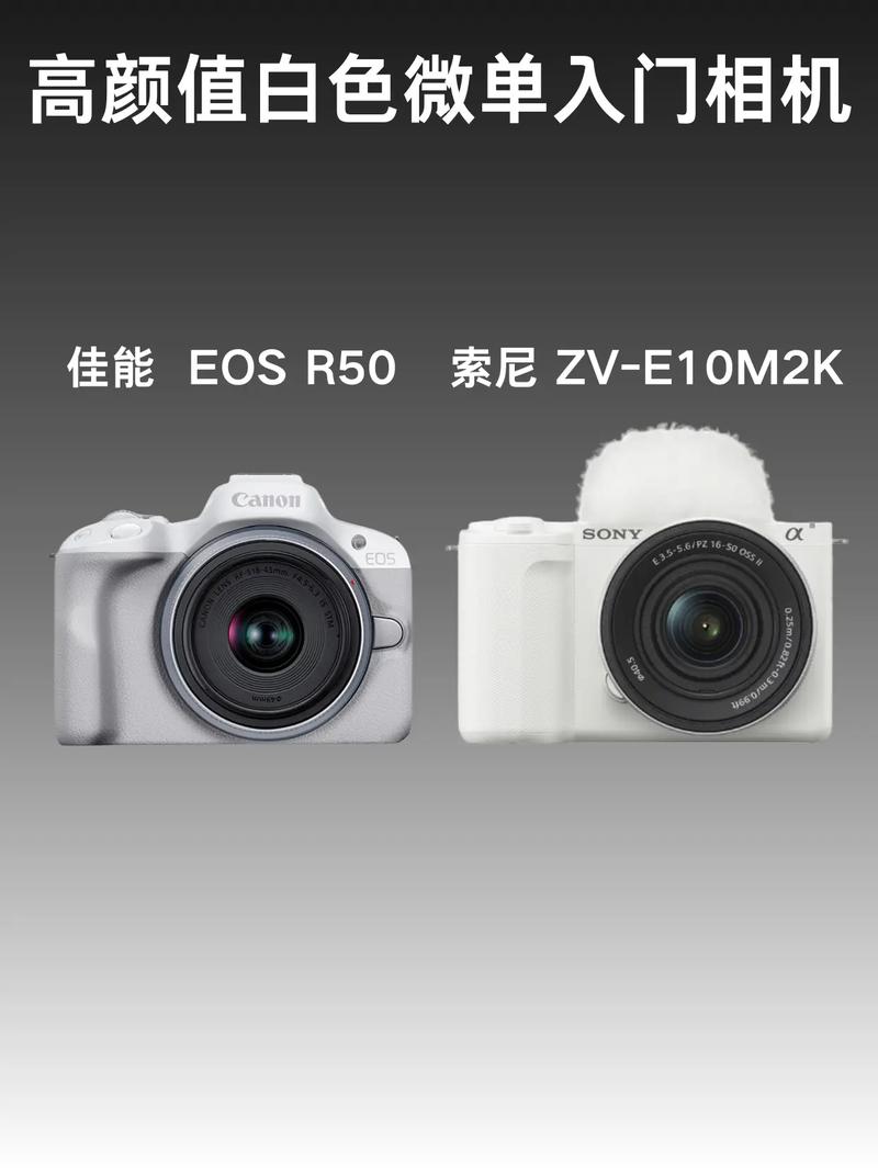 拍照手机哪个更好图2